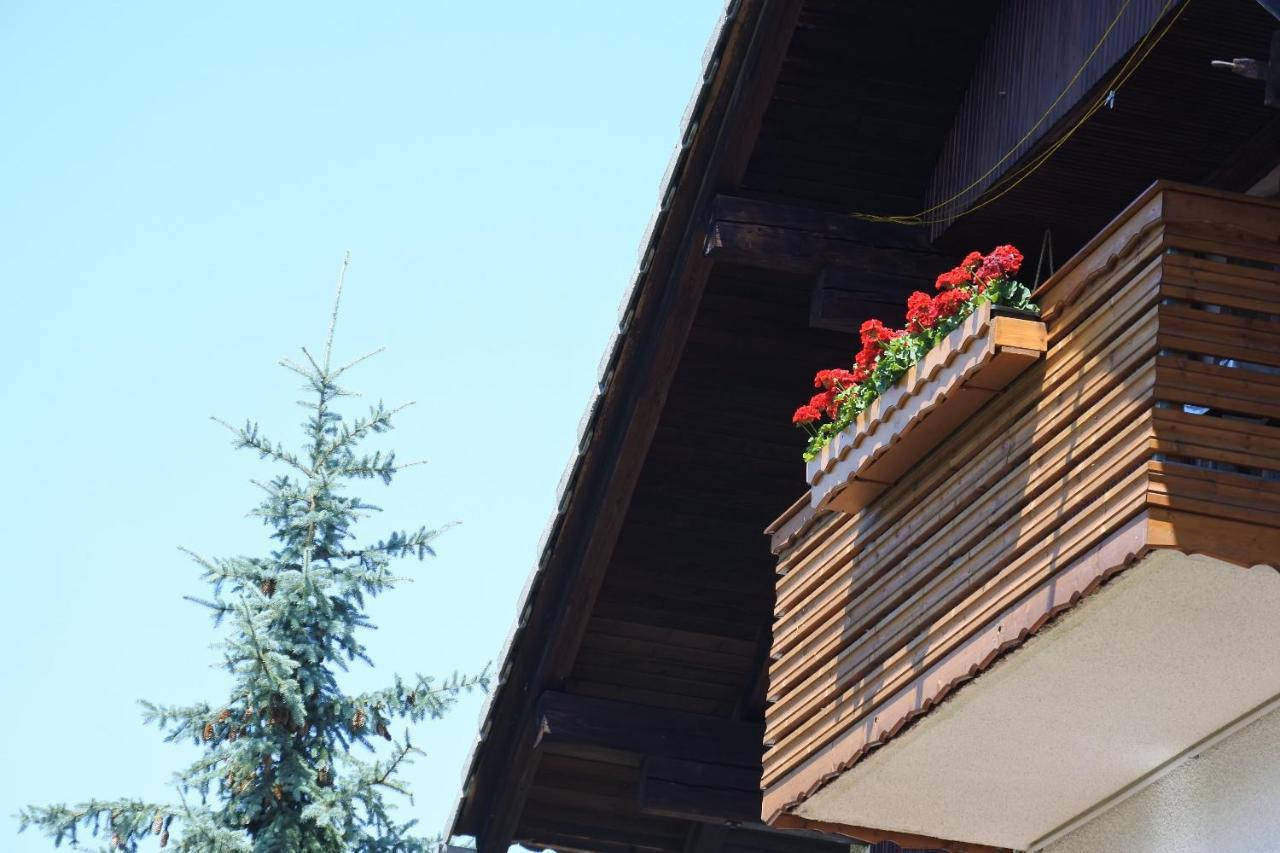 Apartma Vrh Lesce  Exteriér fotografie