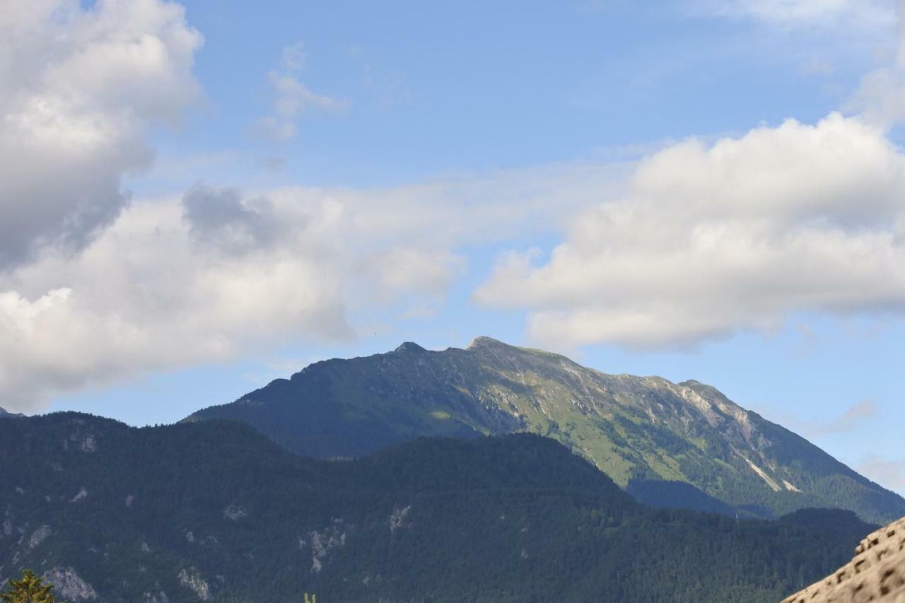 Apartma Vrh Lesce  Exteriér fotografie